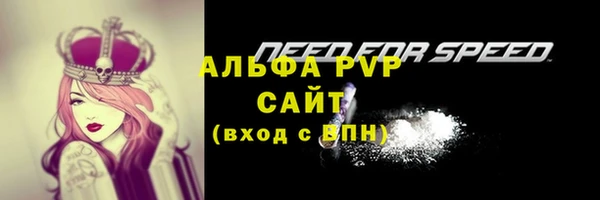 PSILOCYBIN Верхний Тагил