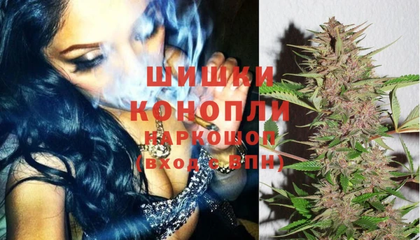 твердый Осташков