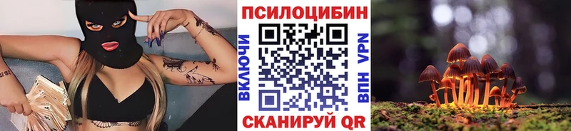 гидра ТОР  Иннополис  Псилоцибиновые грибы Psilocybe 